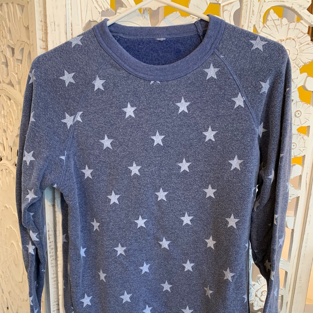 Alternative Apparel eco fleece sweatshirt